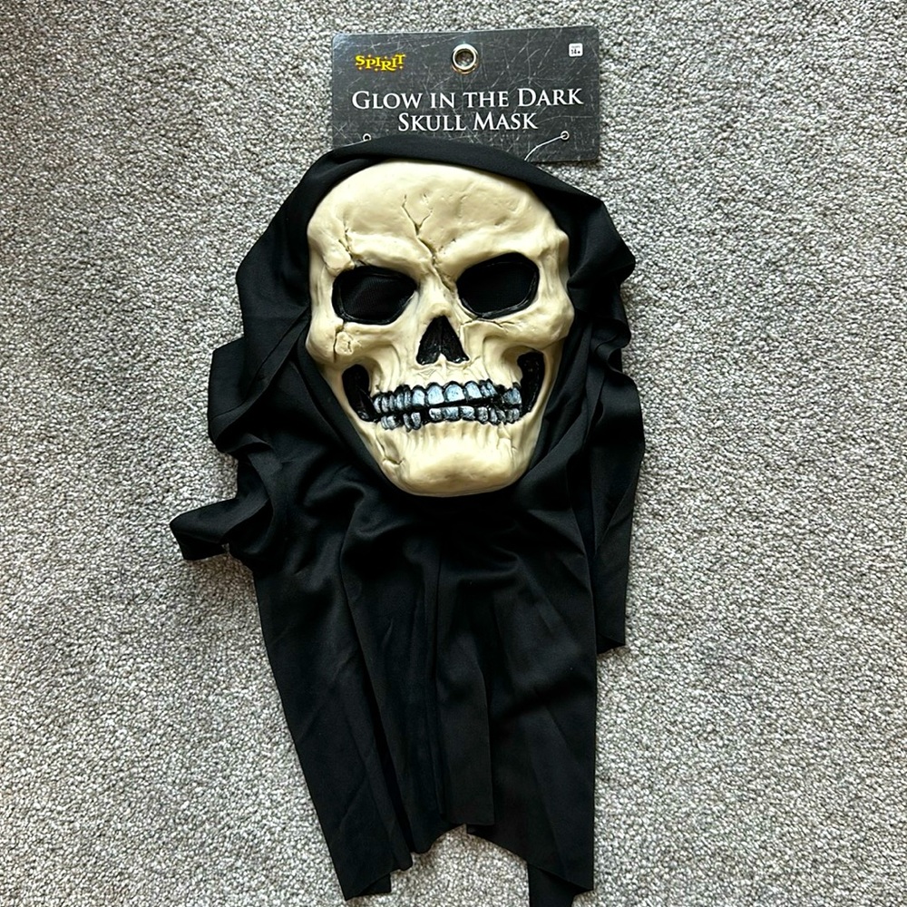 Glow in the Dark Skull Full Mask